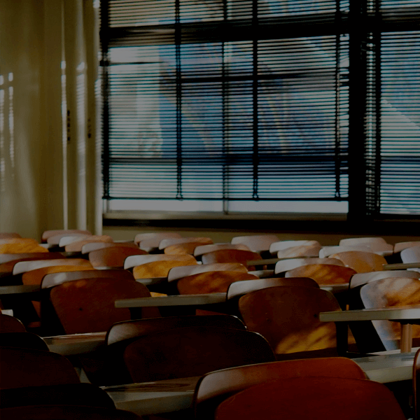 Sector educativo